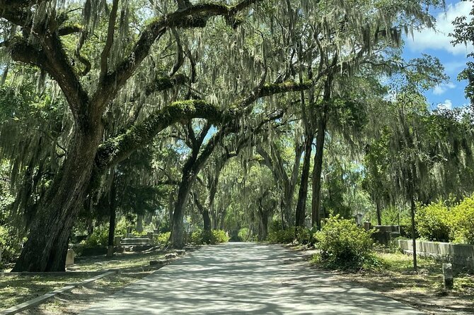 Bonaventure Cemetery History Tour - Price and value: what $32 gets you in Savannah