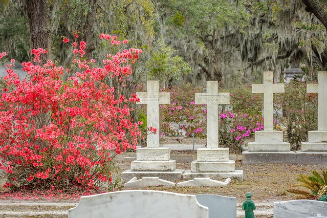 Bonaventure Cemetery & Wormsloe State Historic Site Tour - Price and value: what $59.06 buys you in real terms