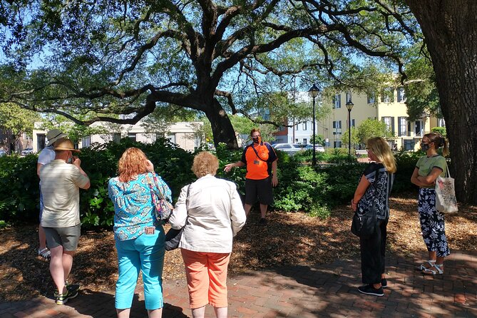 Botanical Tour (by Walk With Me Savannah Tours) - Lafayette Square: quick stop, sweet views, and hardy ornamentals