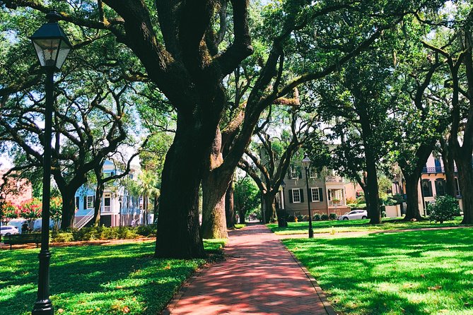 Genteel and Bard's Savannah History Walking Tour - The Historic District stretch: Jones Street and the live oak brick street