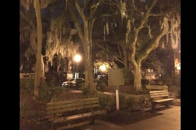 Haunted Savannah Paranormal Ghost Tour - Who This Tour Fits Best (and Who Might Skip It)