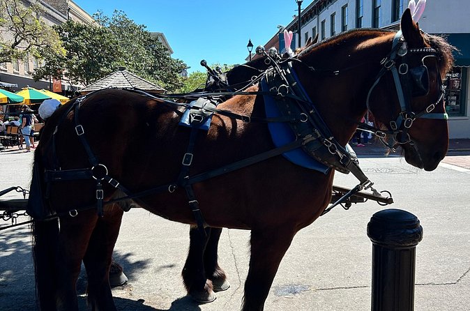 Horse Drawn Daytime Group Narrated Historic Overview Tour - Forsyth Park, Colonial Park, and Chippewa Square highlights
