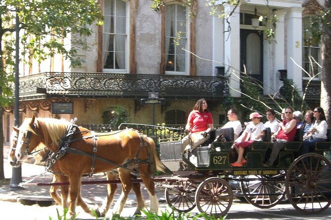 Horse Drawn Daytime Group Narrated Historic Overview Tour - Horse care and why the ride sometimes pauses