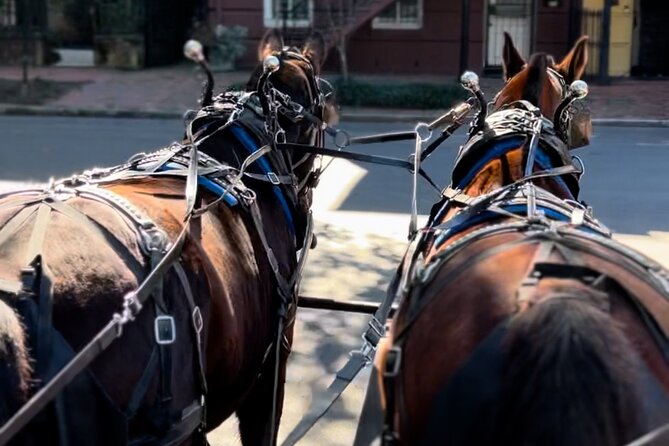 Horse Drawn Daytime Group Narrated Historic Overview Tour - Seating, bumpy roads, and getting good views