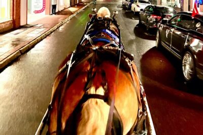 Horse Drawn Ghost and Folklore Tour in Savannah - Where You Start: Jefferson Street and West Saint Julian