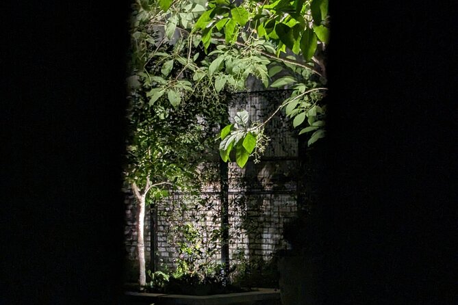 Interactive Paranormal Ghost Walking Tour in Savannah Georgia - Key takeaways before you go