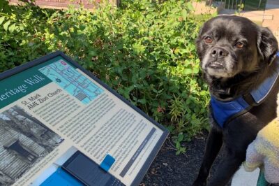 Mysteries on the Move: Scavenger Hunt in Savannah - Chippewa Square, Colonial Park Cemetery, and the named stops that shape the route