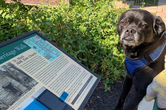 Mysteries on the Move: Scavenger Hunt in Savannah - Chippewa Square, Colonial Park Cemetery, and the named stops that shape the route