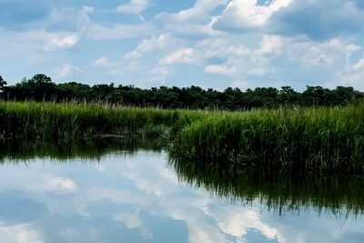 Private Captained Luxury Electric Boat Charter in Savannah - Where you start: Savannah Bend Marina meet-up