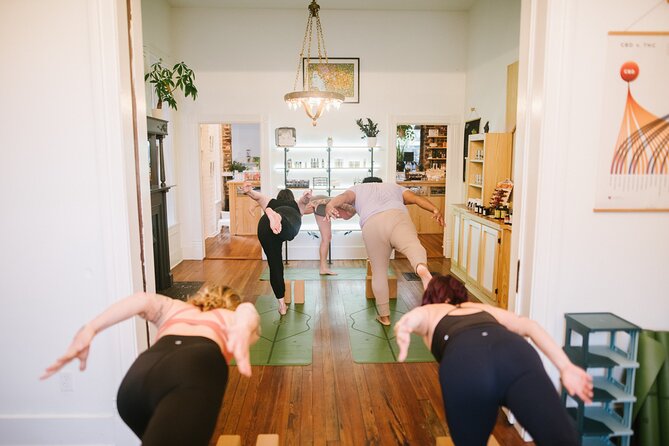Private Guided Yoga Session in Boutique Cannabis Store - Price and Logistics: Simple, Then Go Practice