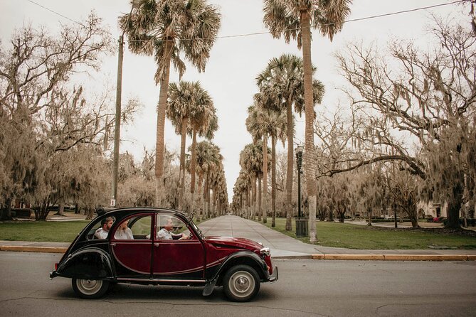 Private Historic Savannah Tour in a Vintage Citroën - Telfair Academy and the Jepson Center: Classic Facade Meets Art Stop