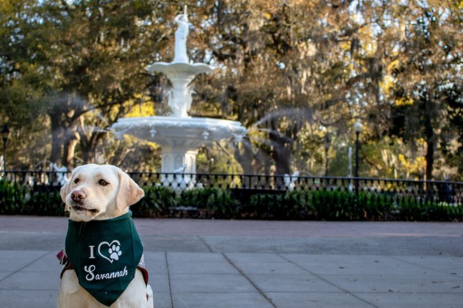 Private Photoshoot in Savannah, GA - The 9:00 am choice that makes photos easier