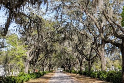 Private Tour of Savannah's Historic/Victorian Districts & Bonaventure Cemetery - Victorian District and Queen Anne architecture: what to look for