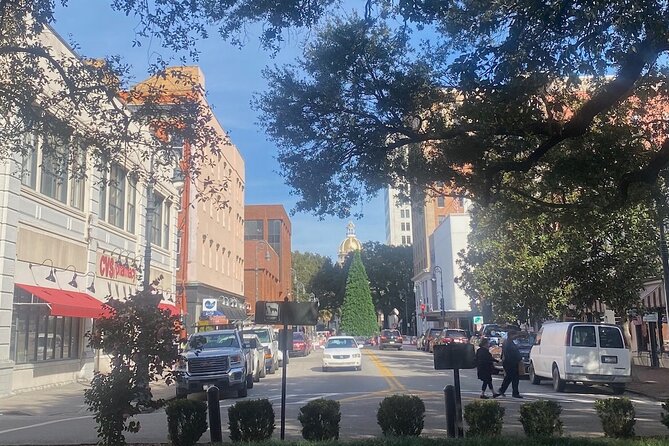 Private Walking Tour of Historic Savannah - Madison Square: Siege of Savannah and Revolutionary Hard Edges