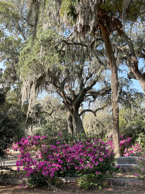 Savannah: Bonaventure Cemetery Golf Cart Guided Tour - The 10-Person Small Group: How the Tour Stays Personal