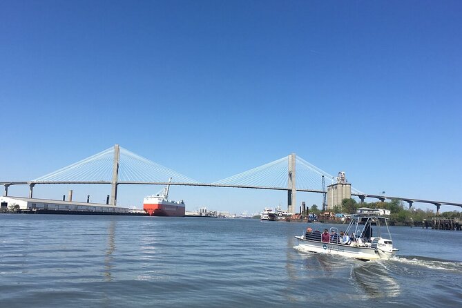 Savannah Coastal Dolphin Eco Tour - Key Highlights