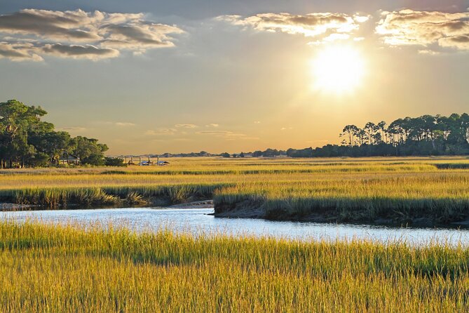 Savannah Coastal Dolphin Eco Tour - From Westin Savannah Harbor to the Water: Easy Meeting Point, Clear Start