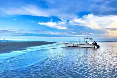 Savannah Coastal Dolphin Eco Tour - Cruising the Atlantic Intracoastal Waterway and Old Fort Jackson Views