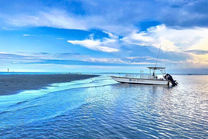 Savannah Coastal Dolphin Eco Tour - Cruising the Atlantic Intracoastal Waterway and Old Fort Jackson Views