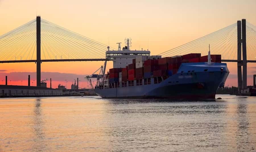 Savannah: Cruise Port Tour - Under the Talmadge Memorial Bridge: the first real skyline moment