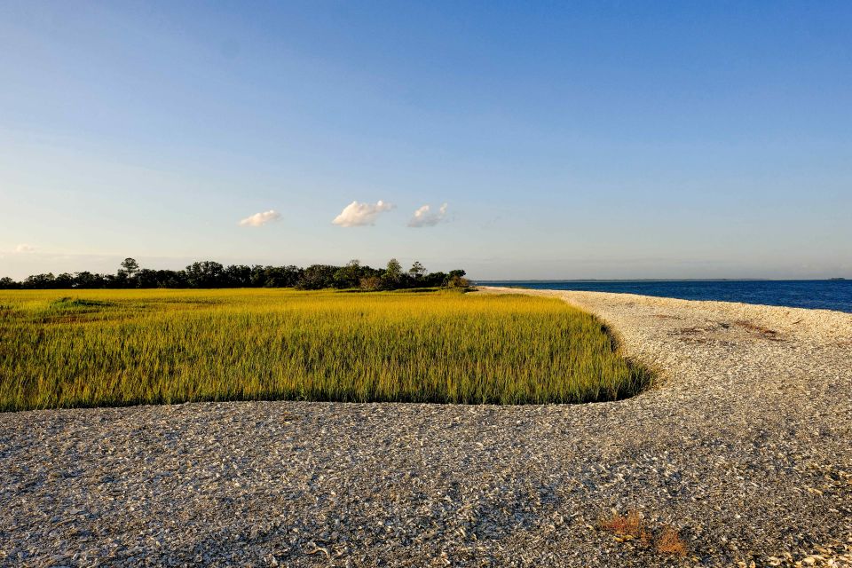 Savannah: Dolphin Spotting and Wildlife Eco Cruise - Onboard Comfort: Shade, Seating, and the Little Things