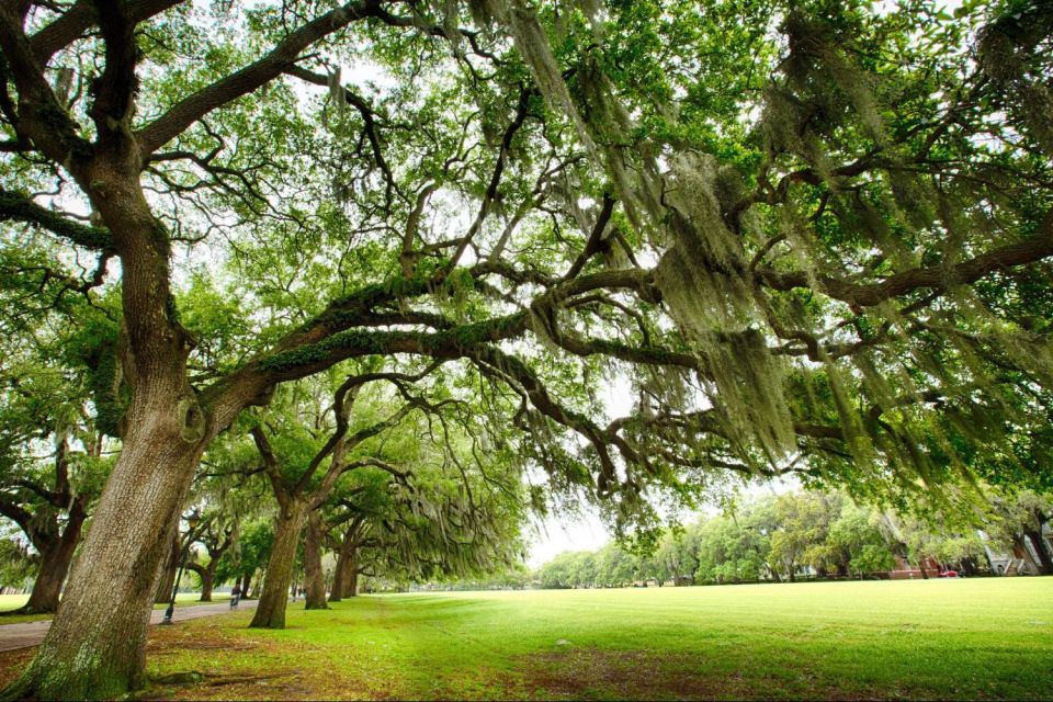 Savannah: Historical Panoramic City Tour - City Market and River Street From the Comfort of the Coach