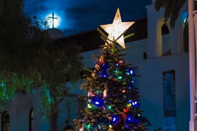 Savannah Holiday Sights and Festive Nights Trolley Tour - The 2-Hour Route: What You’ll See From the Trolley