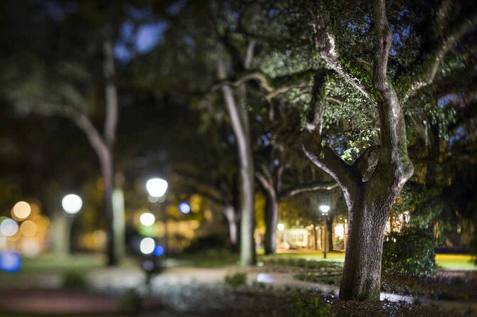 Savannah Shadows All Ages Ghost Tour - Stories, Evidence, and Those Spooky Little Surprises