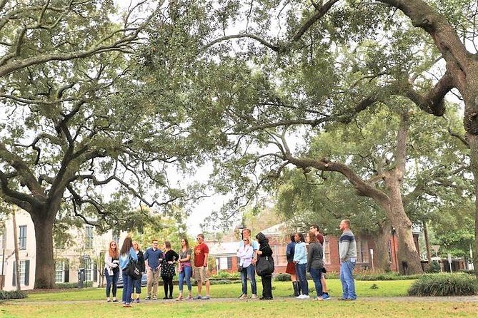 Savannah Southern Fried Expectations Walking Food Tour - Should You Book the Savannah Southern Fried Expectations Tour?