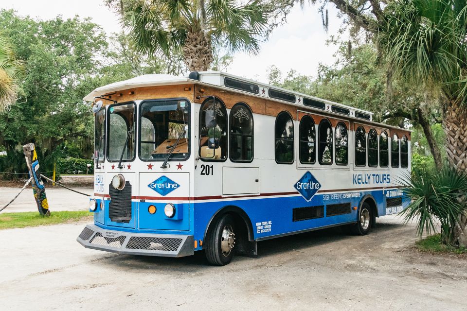 Savannah: Tybee Island Dolphin Tour - Comfort Tips: Seats, Steep Ramps, and Getting Through the Day