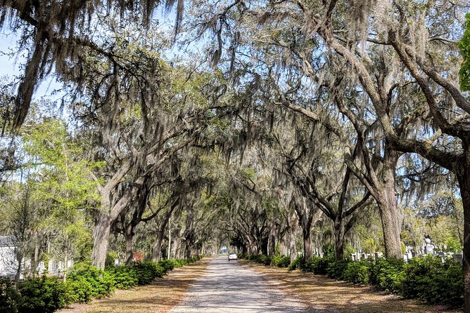 Savannah VIP Tour: Private Full-Day Tour - Fort Pulaski National Monument: Civil War history you can walk around