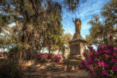 Savannah's Bonaventure Cemetery Tour - Why a guide beats self-walking here