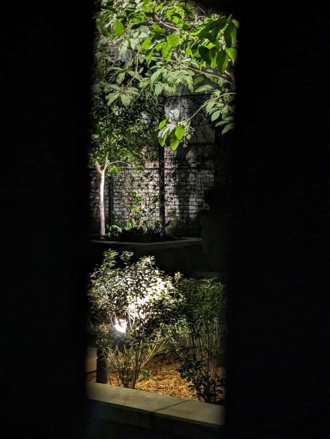 Spirit Xperience: Paranormal Walking Ghost Tour in Savannah - What Kind of Traveler Will Love This