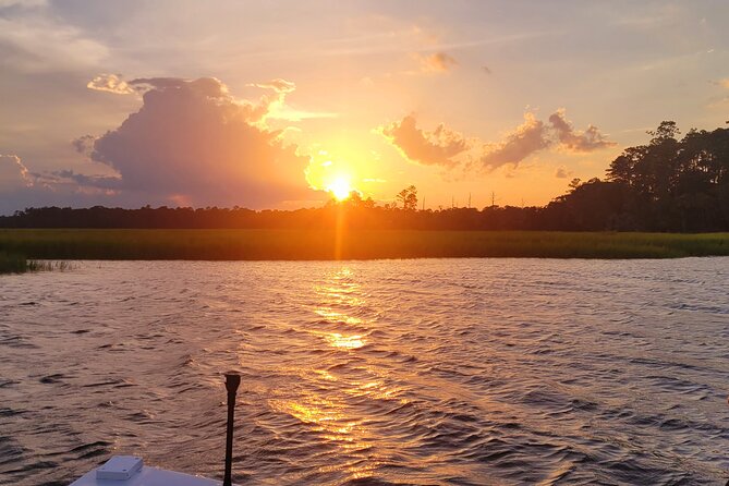 Sunset, Dolphin/Birding On A Private Guided Savannah Cruise - Moon River, dolphins, and birds: why this cruise feels different than a basic sightseeing ride