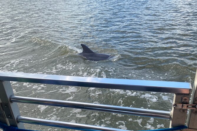Sunset Dolphin Eco Tour - The Crew Makes the Difference: Storytelling from Captain to First Mate
