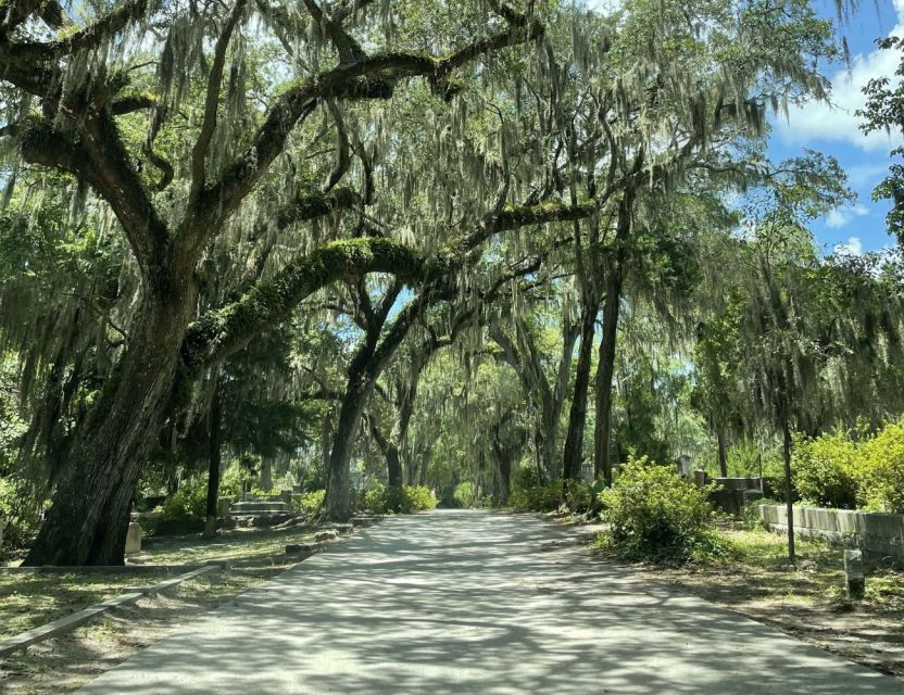Tombs of Savannah: Bonaventure Cemetery Experience - The heart of the walk: shaded paths and stone tributes