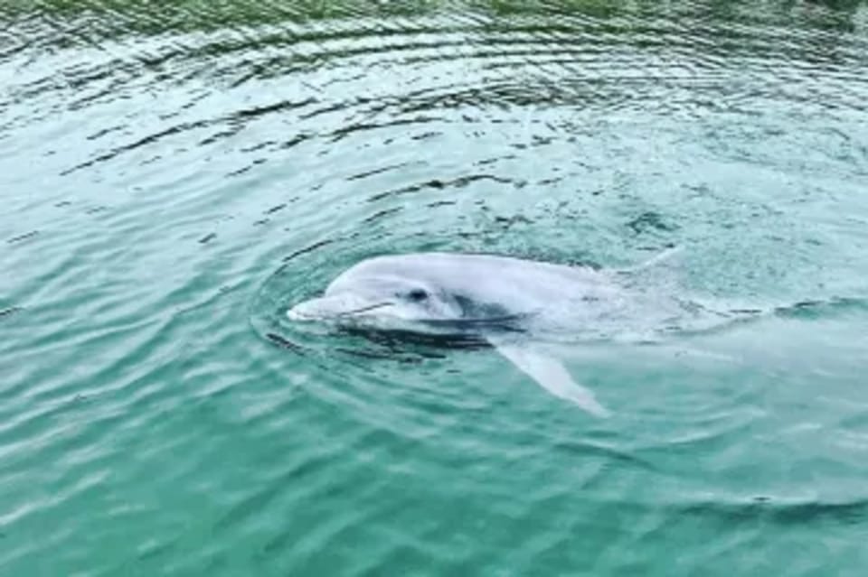 Tybee Island: Tiki Boat Sightseeing Cruise - Who This Cruise Fits Best (And Who Might Want Another Option)